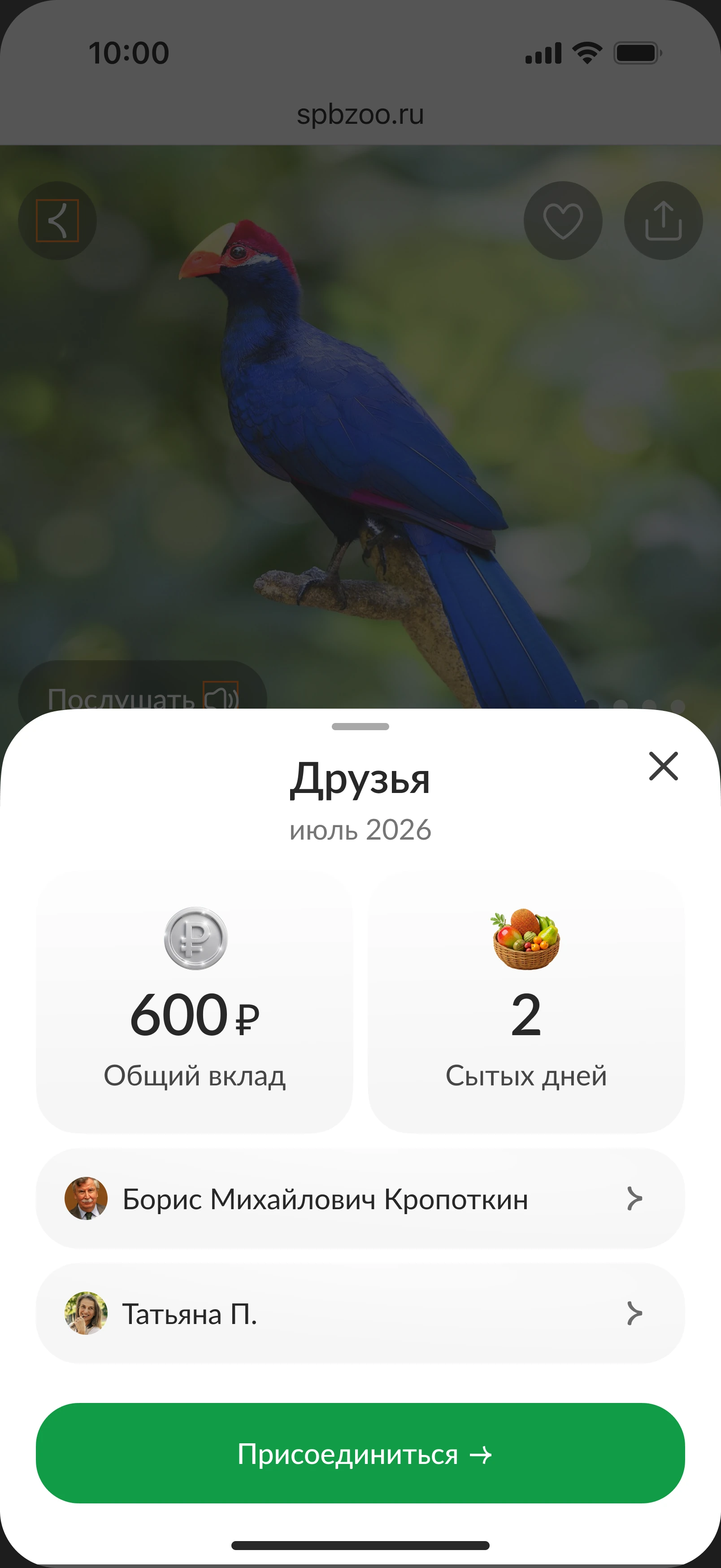 Шторка «Друзья»: общий вклад 600 ₽, два сытых дня и список друзей животного